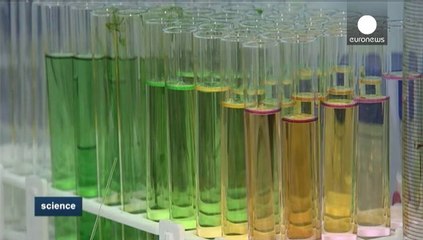 Estudiando el canto de los pájaros para recuperar el habla