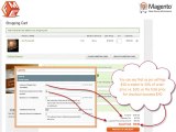 Magento Recurring Payments Plug-in