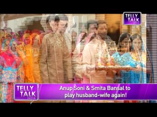 Balika Vadhu Anup Soni and Smita Bansal to play a couple again