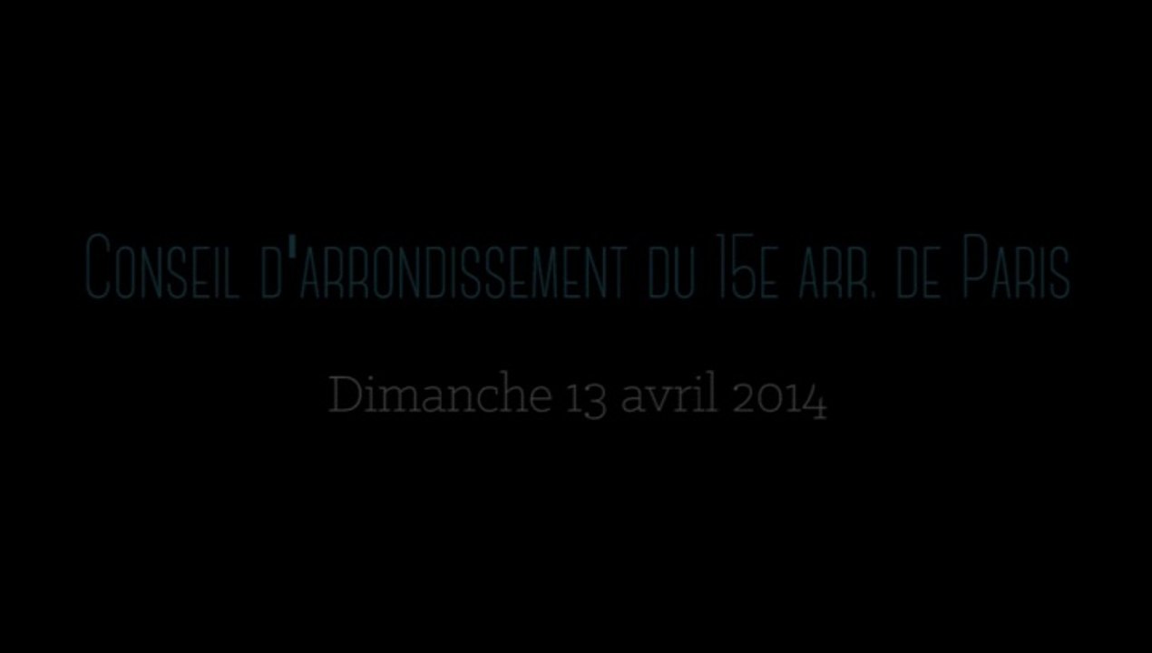 Conseil d'Arrondissement du 15° du Dimanche 13 Avril 2014