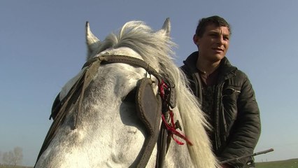 Les Gagaouzes veulent sauver l'élevage des chevaux