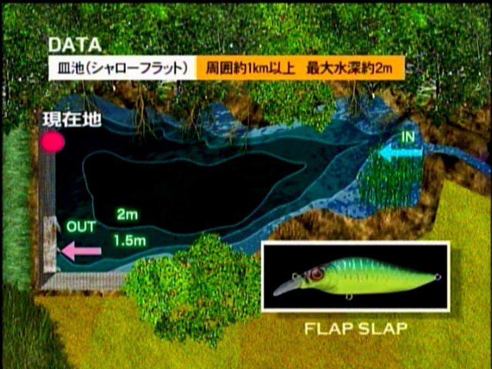 カナモスタイル③