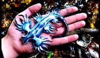 Mavi deniz salyangozu (Glaucus atlanticus)