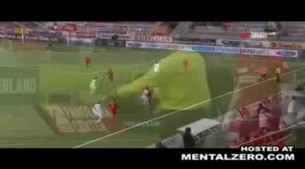 Animale entra in campo e ferisce calciatore