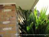 Bridging and Termites by Silks Pest Control - Your Brisbane Termites Expert