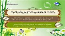 سورة الأنعام القارئ سعد الغامدي - Surat Al-Anam Saad el ghamdi