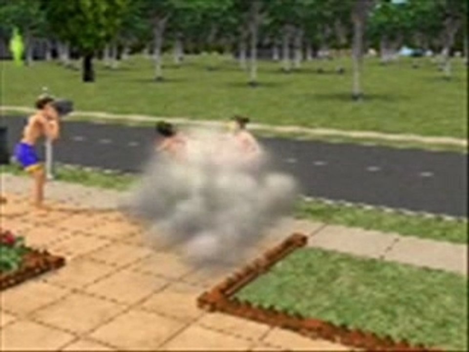 baston sims 2