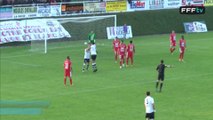 Championnat National - Journée 28 - Les buts