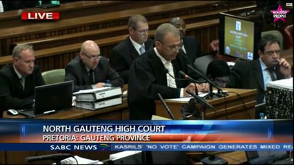 Oscar Pistorius : Gerrie Nel termine son contre-interrogatoire