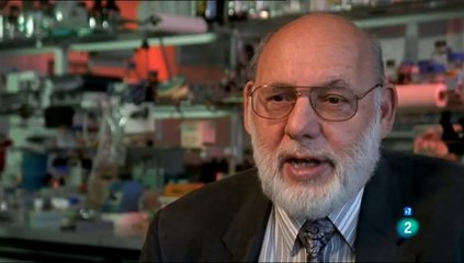 Evolución (2) Grandes transformaciones