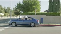 Dog House - Funny Subaru Commercial -2014 Super Bowl Ad