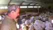 D!CI TV : Pâques dans les Hautes-Alpes avec le GAEC du Moutonnier à Eygliers