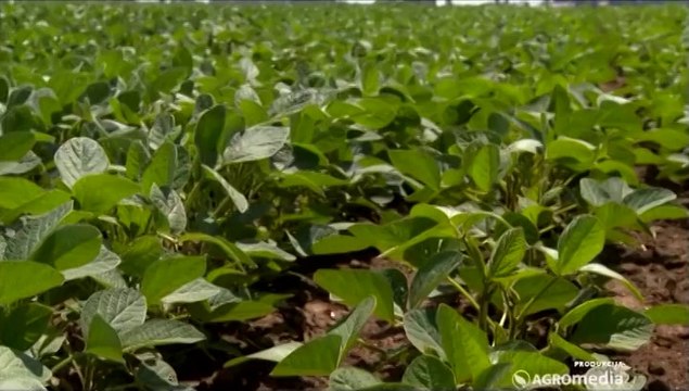 Zaštita soje, Agromarket_ 343 _ 12.04.2014.