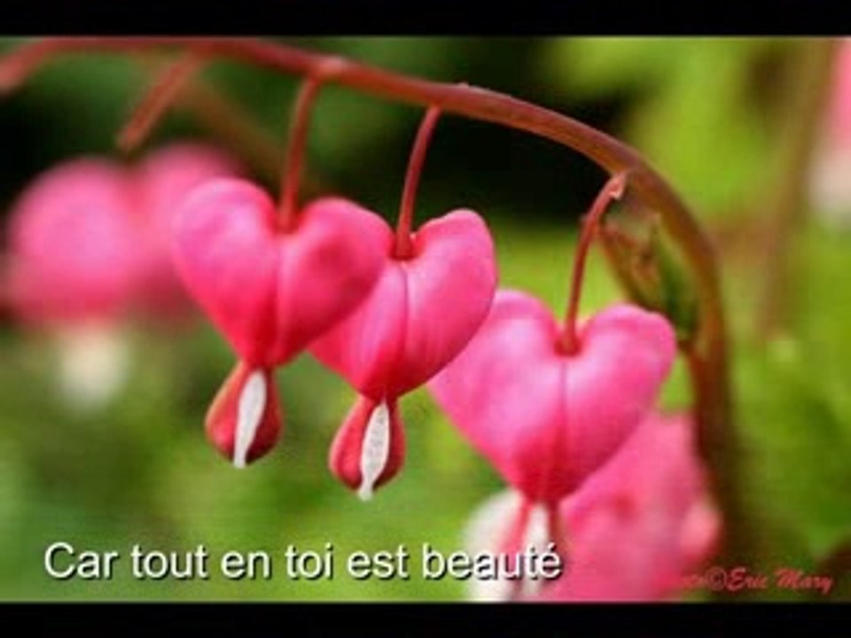 Lumière du monde