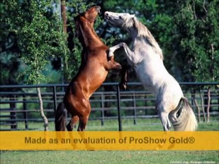 Edip Akbayram-Özdemir Asaf---Saklayacağım