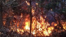 Incendies: 90 hectares de bois brûlés