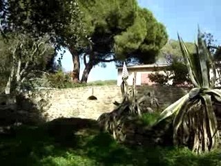 Photo 008