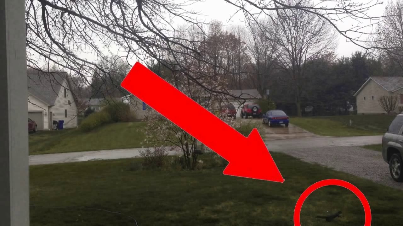 Real Life Paranormal Activity Caught on Old fashioned photoography