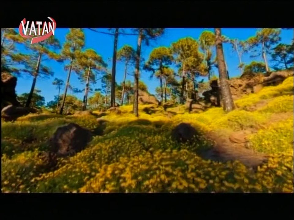 RAHMİ OLCAY MEŞK*İ İLAHİLER VATAN TV