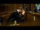 Oscar Pistorius trial day 9: investigator describes blood trail in Pistorius' house