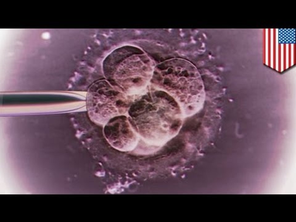 Three-parent baby soon a reality?