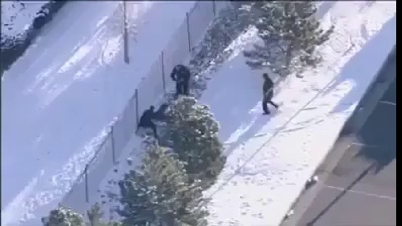 GTA real life