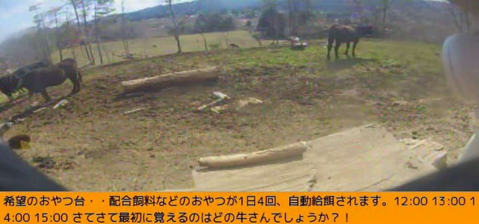 2014-03-17 14-16   牧場３号機　赤耳牛さん