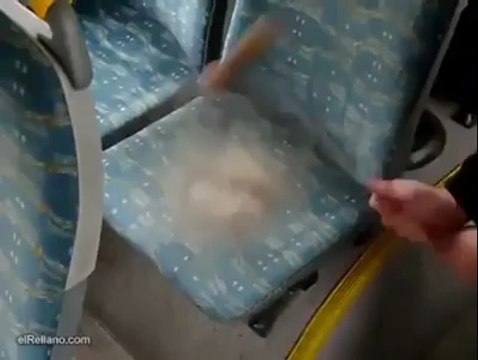 Otobüsü hiç böyle görmediniz