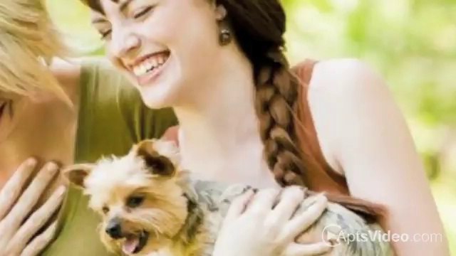 Courtney Greens Apartments in Gainesville, FL - ForRent.com