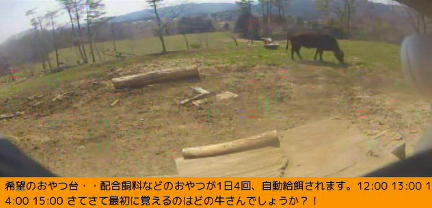 2014-03-25 11-28 牧場３号機　まったり　銀牙ちゃん