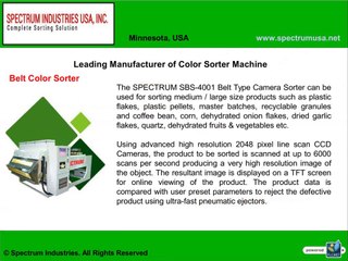 Color Sorting Machine Manufacturer