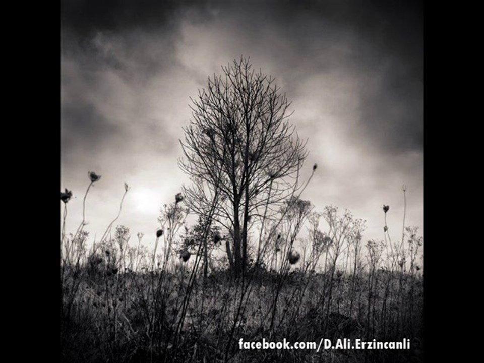 Şehre Dön Efendim - Dursun Ali Erzincanlı