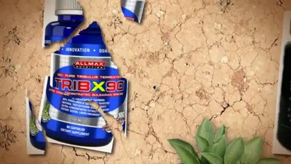 Ageless Male Review