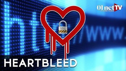 Heartbleed : que faire face à la faille de sécurité qui fait mal au coeur ?