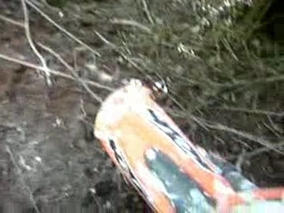 chute nico parc sanglier