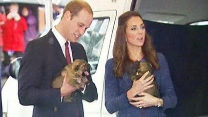 Royals get puppy love before New Zealand trip wraps up