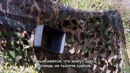 Снежный барс: Мифы и реальность