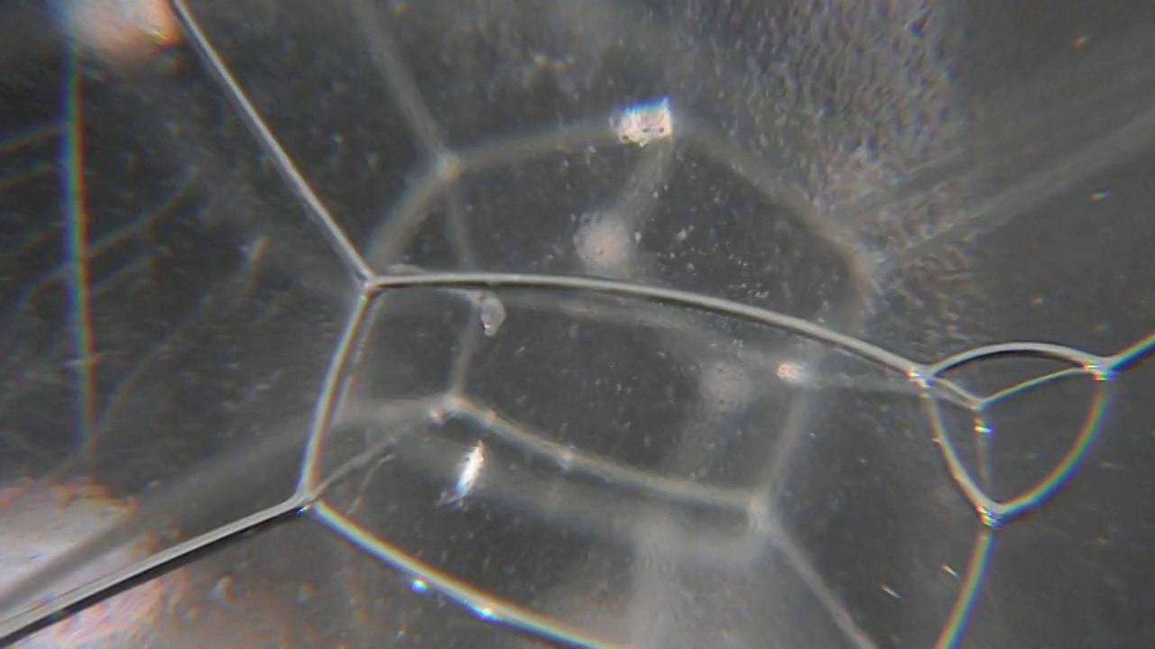 structure 1