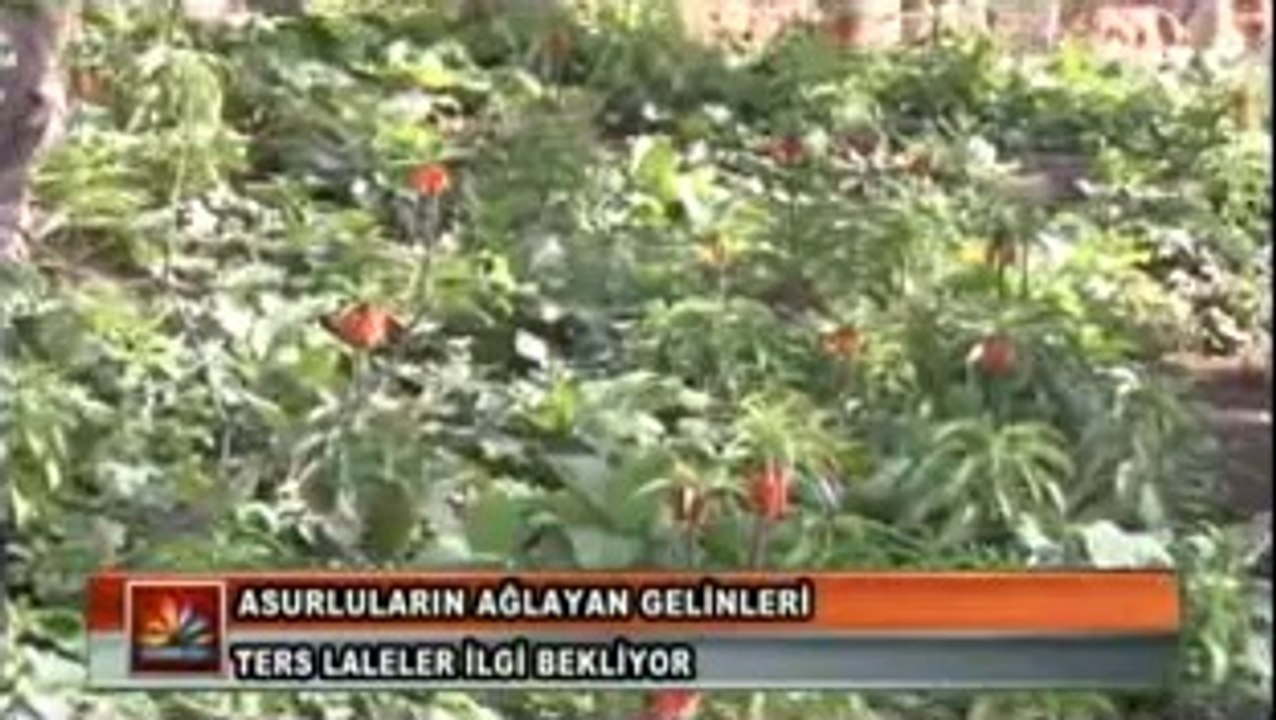 15 04 2014 ANA HABER BÜLTENİ