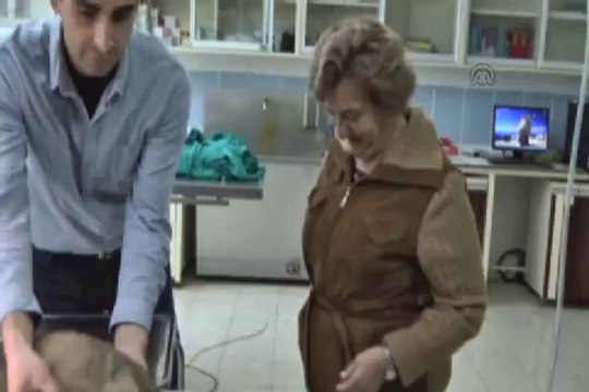 Kedi ve köpeğe, özel protez takma bacak operasyonu