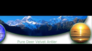 Deer Antler Velvet
