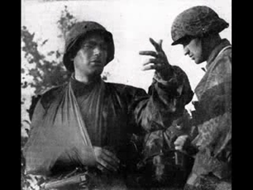 Waffen SS ✔