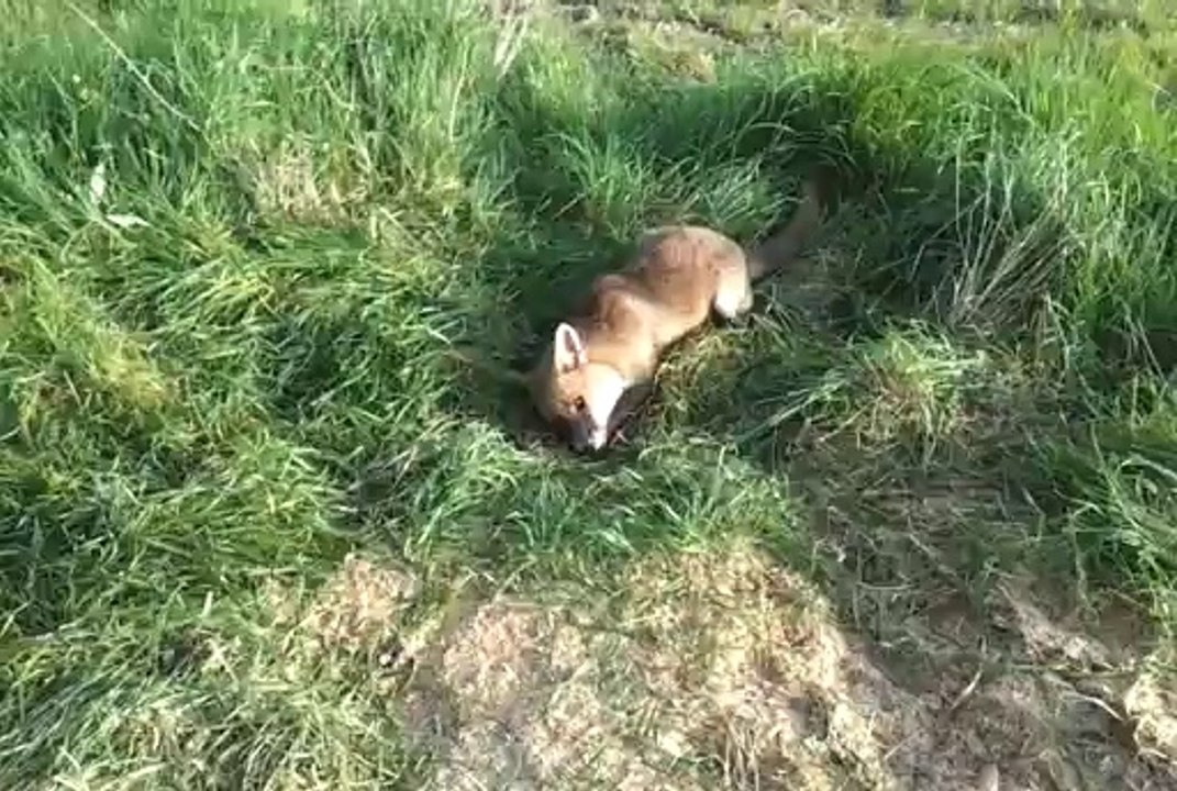 video-2014-04-12-08-33-24[1]