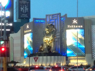 Academic America Las Vegas Tour