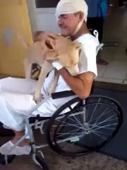 Homeless Brazilian Dog Waits Outside Owner's Hospital for Eight Days