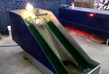 Zeki Civcivlerin Kayak Şovu