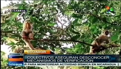 CNE de Ecuador revisa hacer una consulta en el caso del parque Yasuní
