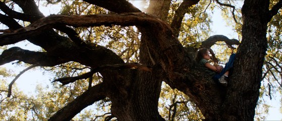 Joe_TLR-HD_24fps_PTsubs