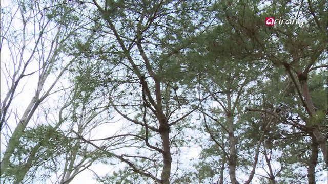 100 Icons of Korean Culture Ep82