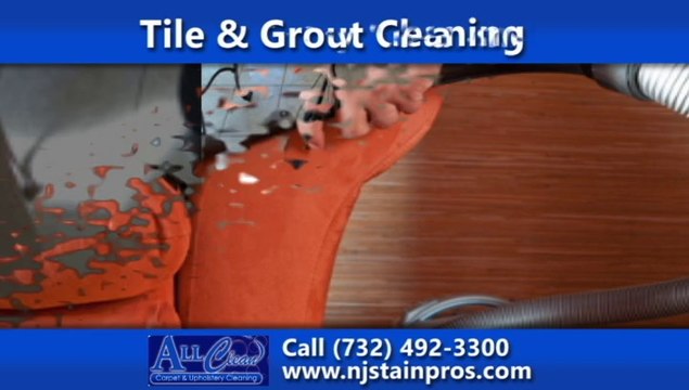 Lakewood Carpet Cleaning Company | All Clean Carpet & Upholstery